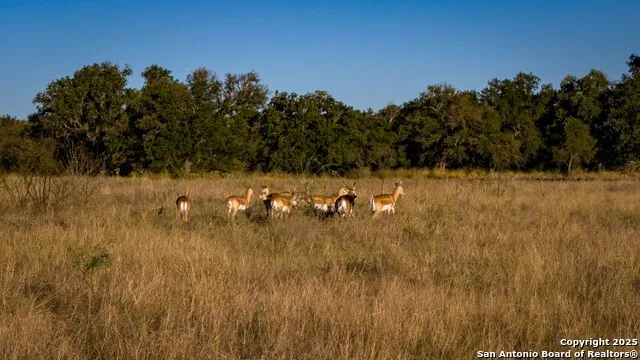 7702 ranch road 965 Llano, TX 78643